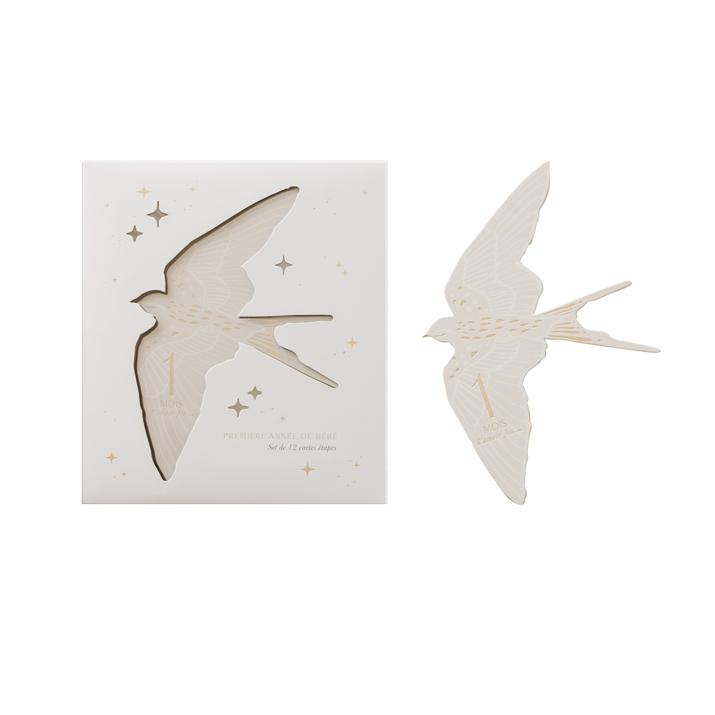 Cartes étapes - Oiseaux