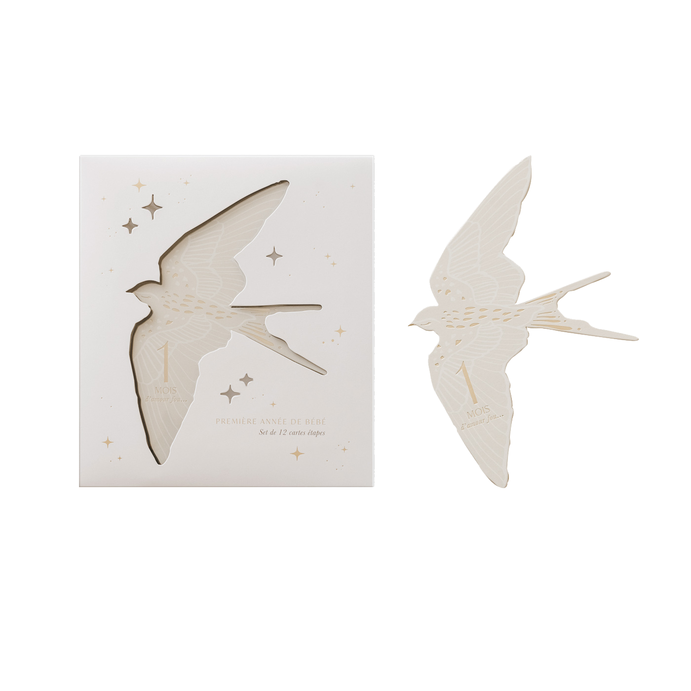 Cartes étapes - Oiseaux