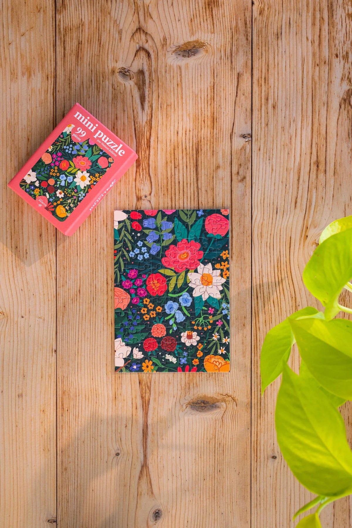 Mini Puzzle 99 pièces - Poésie sauvage