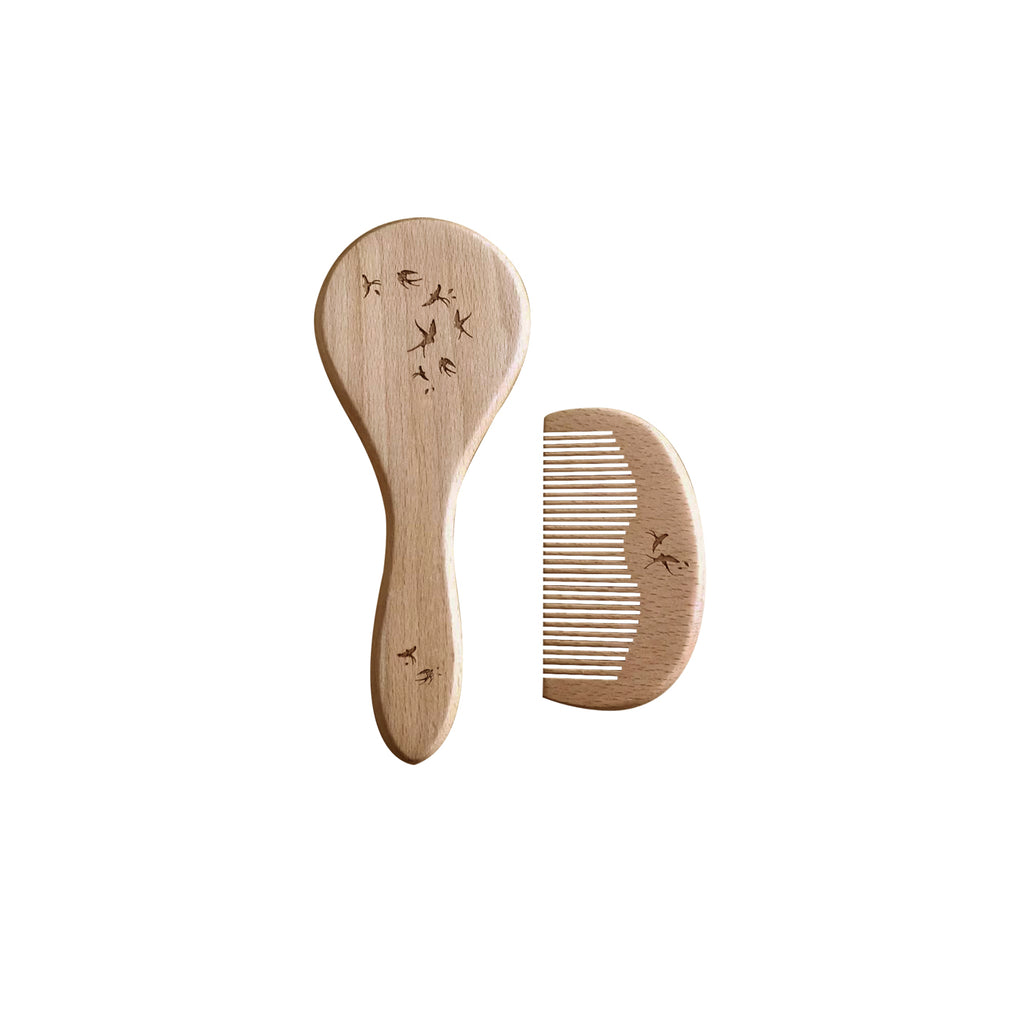 Ensemble brosse & peigne